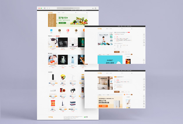 Youpin Crowdfunding Platform